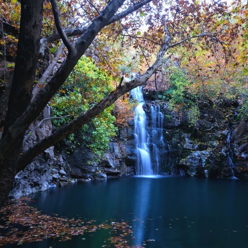 Palovit Waterfall in Rize
